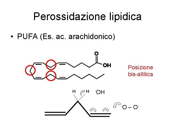 Perossidazione lipidica • PUFA (Es. ac. arachidonico) Posizione bis-allilica H H ·O – O·
