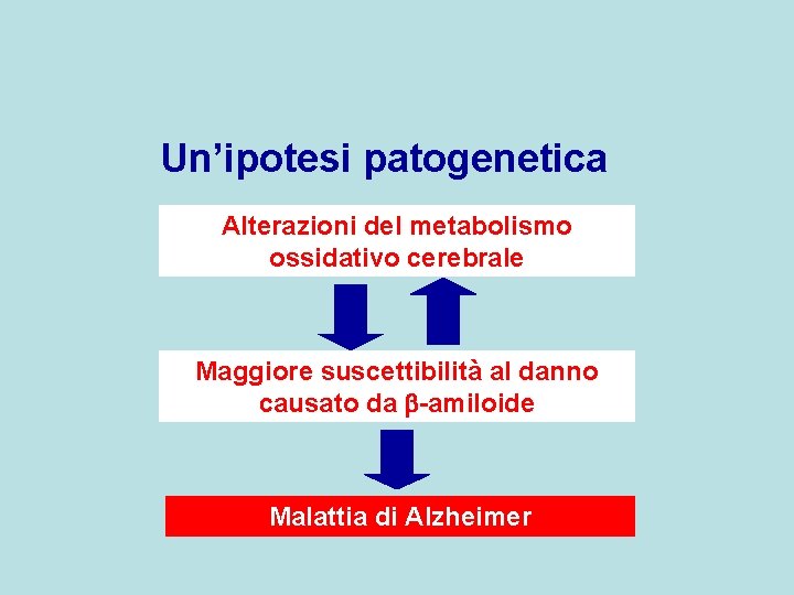 Un’ipotesi patogenetica Alterazioni del metabolismo ossidativo cerebrale Maggiore suscettibilità al danno causato da -amiloide