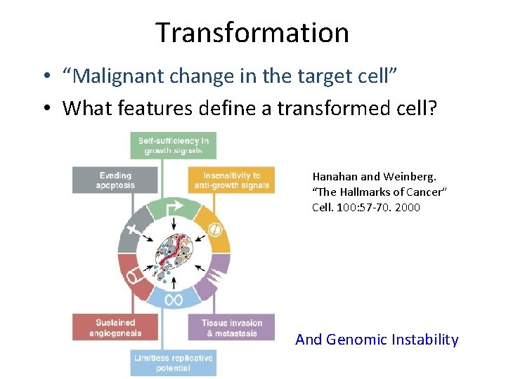 Transformation • “Malignant change in the target cell” • What features define a transformed