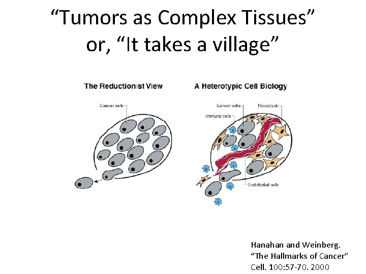 “Tumors as Complex Tissues” or, “It takes a village” Hanahan and Weinberg. “The Hallmarks