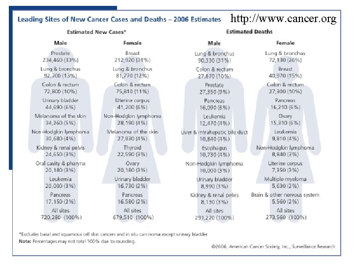 http: //www. cancer. org 