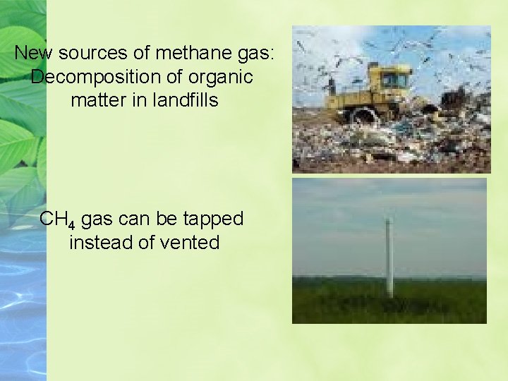 New sources of methane gas: Decomposition of organic matter in landfills CH 4 gas