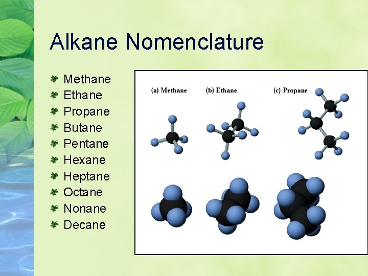 Alkane Nomenclature Methane Ethane Propane Butane Pentane Hexane Heptane Octane Nonane Decane 