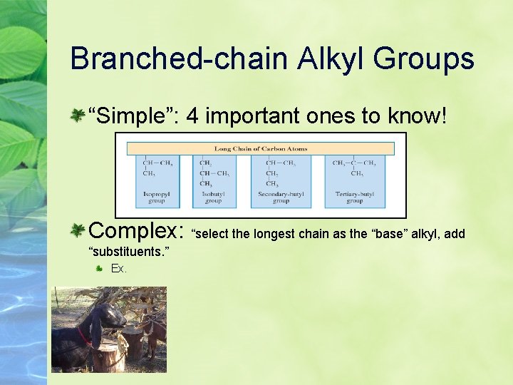 Branched-chain Alkyl Groups “Simple”: 4 important ones to know! Complex: “select the longest chain