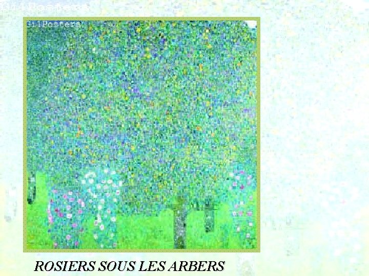 ROSIERS SOUS LES ARBERS 