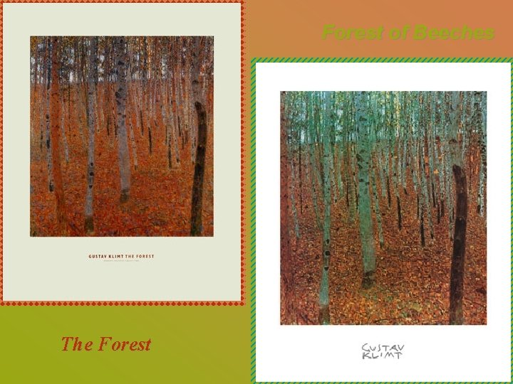 Forest of Beeches The Forest 