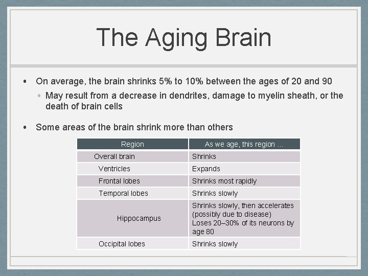 The Aging Brain • On average, the brain shrinks 5% to 10% between the