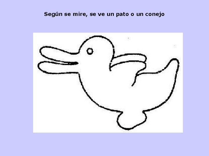 Según se mire, se ve un pato o un conejo 