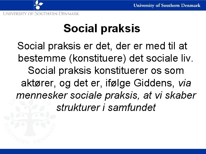 Social praksis er det, der er med til at bestemme (konstituere) det sociale liv.