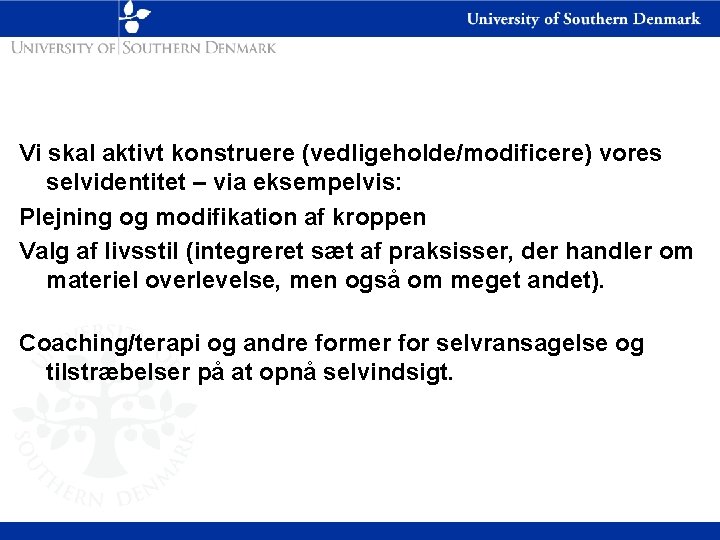 Vi skal aktivt konstruere (vedligeholde/modificere) vores selvidentitet – via eksempelvis: Plejning og modifikation af