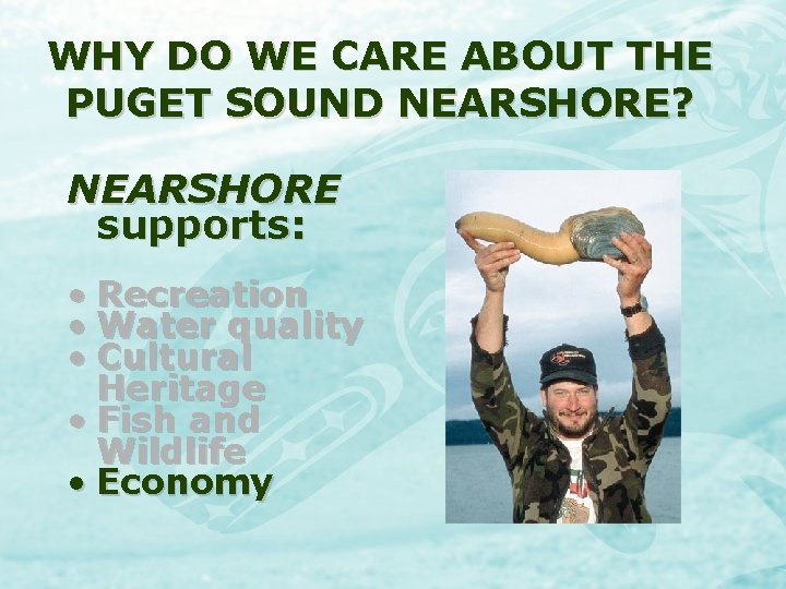 WHY DO WE CARE ABOUT THE PUGET SOUND NEARSHORE? NEARSHORE supports: • Recreation •