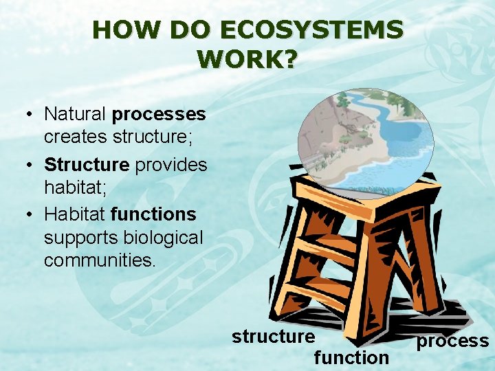 HOW DO ECOSYSTEMS WORK? • Natural processes creates structure; • Structure provides habitat; •