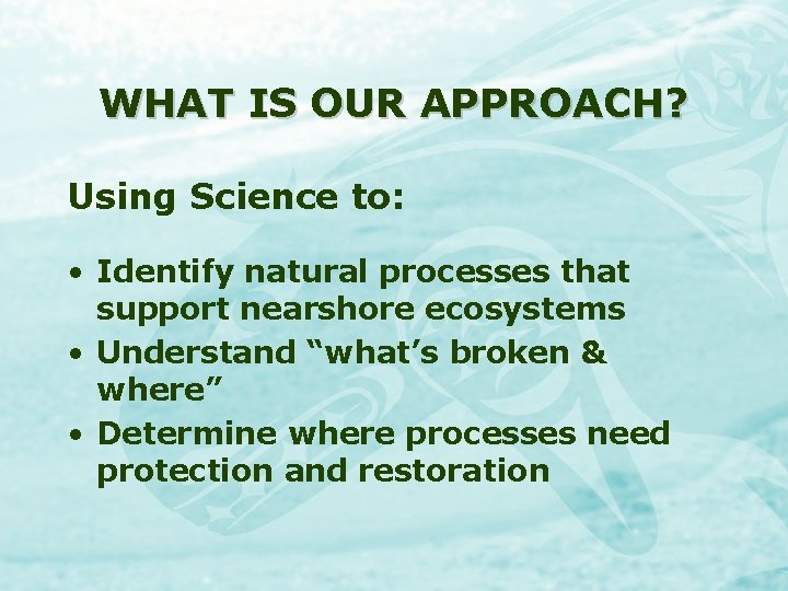 WHAT IS OUR APPROACH? Using Science to: • Identify natural processes that support nearshore