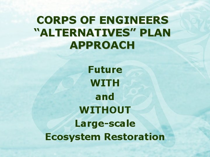CORPS OF ENGINEERS “ALTERNATIVES” PLAN APPROACH Future WITH and WITHOUT Large-scale Ecosystem Restoration 