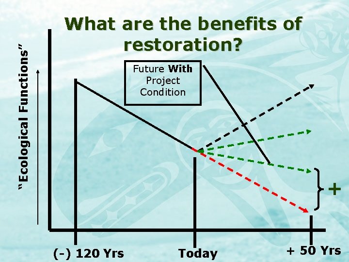 “Ecological Functions” What are the benefits of restoration? Future With Project Condition + (-)