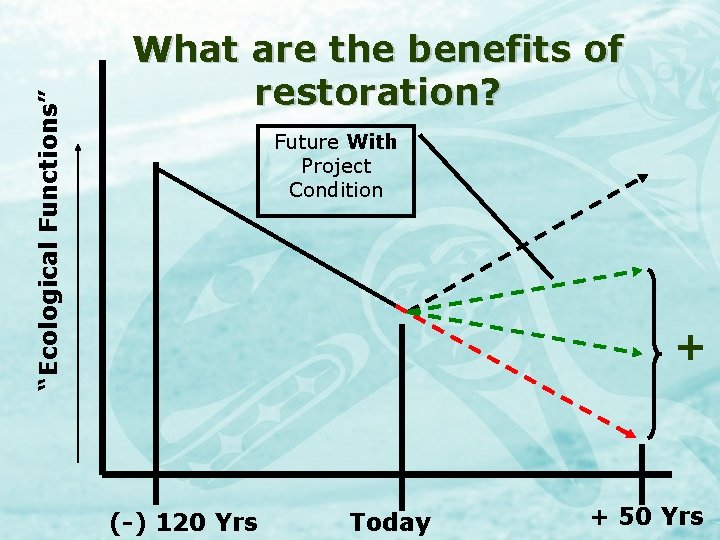 “Ecological Functions” What are the benefits of restoration? Future With Project Condition + (-)