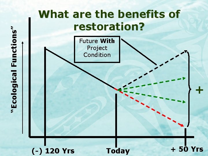 “Ecological Functions” What are the benefits of restoration? Future With Project Condition + (-)