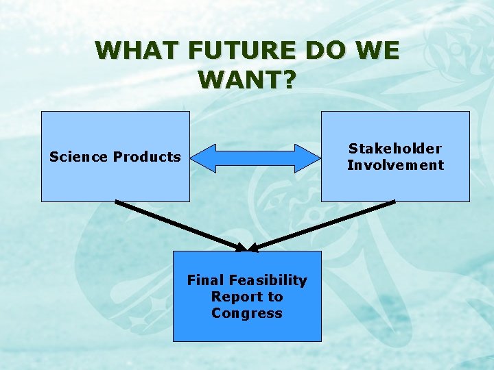 WHAT FUTURE DO WE WANT? Stakeholder Involvement Science Products Final Feasibility Report to Congress