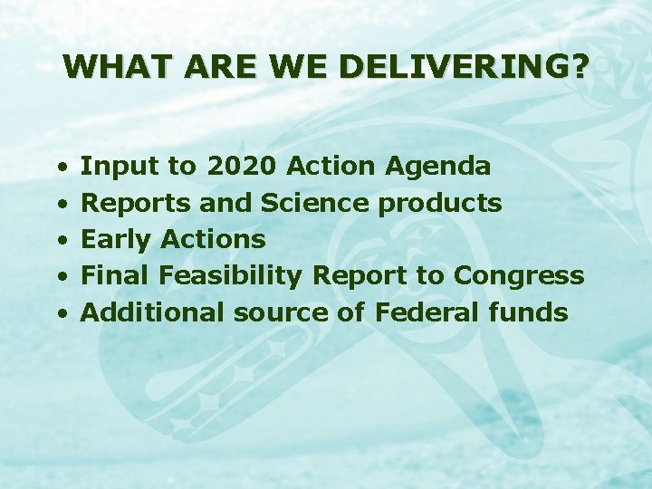 WHAT ARE WE DELIVERING? • • • Input to 2020 Action Agenda Reports and