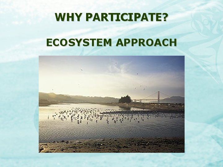 WHY PARTICIPATE? ECOSYSTEM APPROACH 