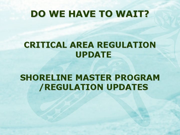 DO WE HAVE TO WAIT? CRITICAL AREA REGULATION UPDATE SHORELINE MASTER PROGRAM /REGULATION UPDATES