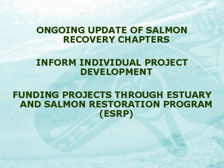 ONGOING UPDATE OF SALMON RECOVERY CHAPTERS INFORM INDIVIDUAL PROJECT DEVELOPMENT FUNDING PROJECTS THROUGH ESTUARY