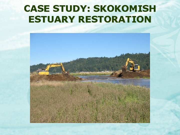 CASE STUDY: SKOKOMISH ESTUARY RESTORATION 