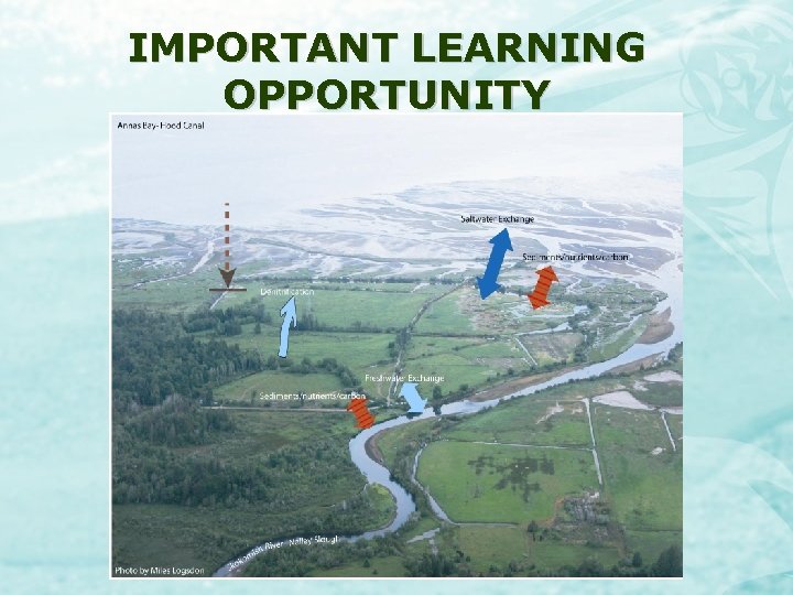 IMPORTANT LEARNING OPPORTUNITY 