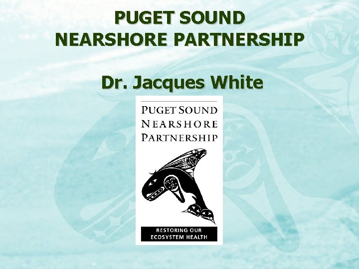 PUGET SOUND NEARSHORE PARTNERSHIP Dr. Jacques White 