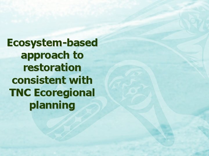 Ecosystem-based approach to restoration consistent with TNC Ecoregional planning 