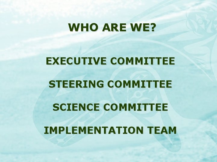 WHO ARE WE? EXECUTIVE COMMITTEE STEERING COMMITTEE SCIENCE COMMITTEE IMPLEMENTATION TEAM 