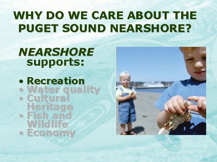WHY DO WE CARE ABOUT THE PUGET SOUND NEARSHORE? NEARSHORE supports: • Recreation •