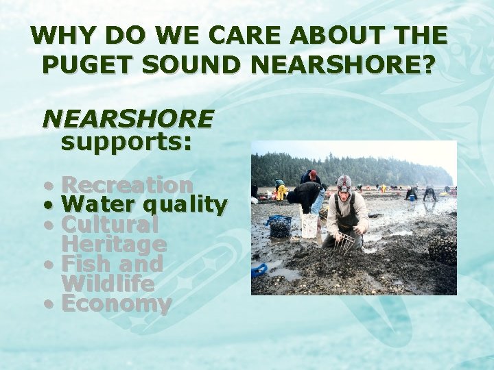 WHY DO WE CARE ABOUT THE PUGET SOUND NEARSHORE? NEARSHORE supports: • Recreation •