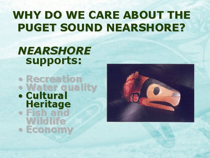 WHY DO WE CARE ABOUT THE PUGET SOUND NEARSHORE? NEARSHORE supports: • Recreation •