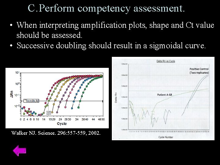 C. Perform competency assessment. • When interpreting amplification plots, shape and Ct value should C. Perform competency assessment. • When interpreting amplification plots, shape and Ct value should