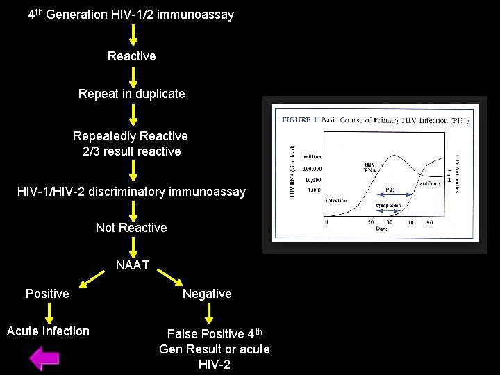 4 th Generation HIV-1/2 immunoassay Reactive Repeat in duplicate Repeatedly Reactive 2/3 result reactive 4 th Generation HIV-1/2 immunoassay Reactive Repeat in duplicate Repeatedly Reactive 2/3 result reactive