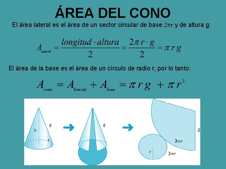 ÁREA DEL CONO El área lateral es el área de un sector circular de