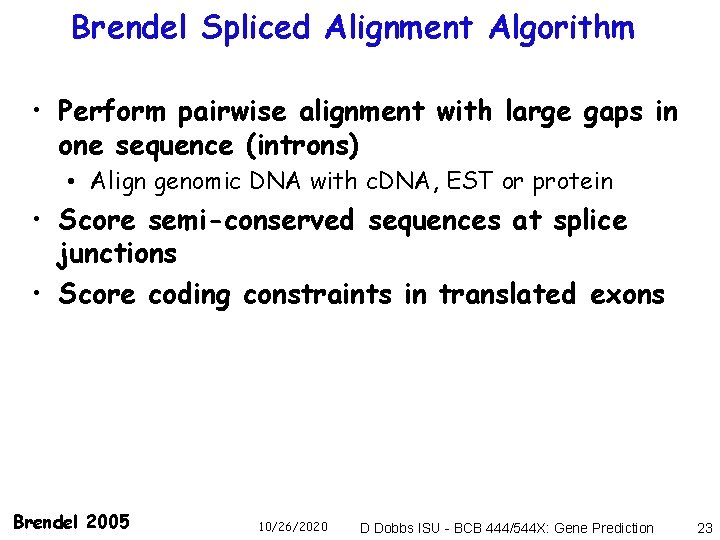 Brendel Spliced Alignment Algorithm • Perform pairwise alignment with large gaps in one sequence