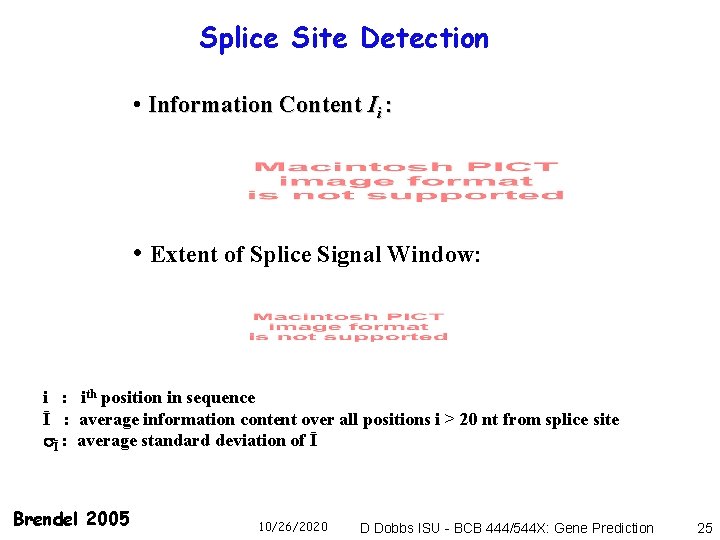 Splice Site Detection • Information Content Ii : • Extent of Splice Signal Window: