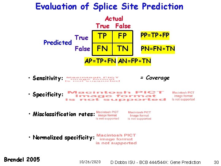 Evaluation of Splice Site Prediction Actual True False Predicted True TP FP PP=TP+FP False