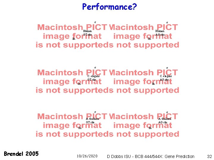 Performance? Human GT site Human AG site Sn Sn C. elegans GT site C.