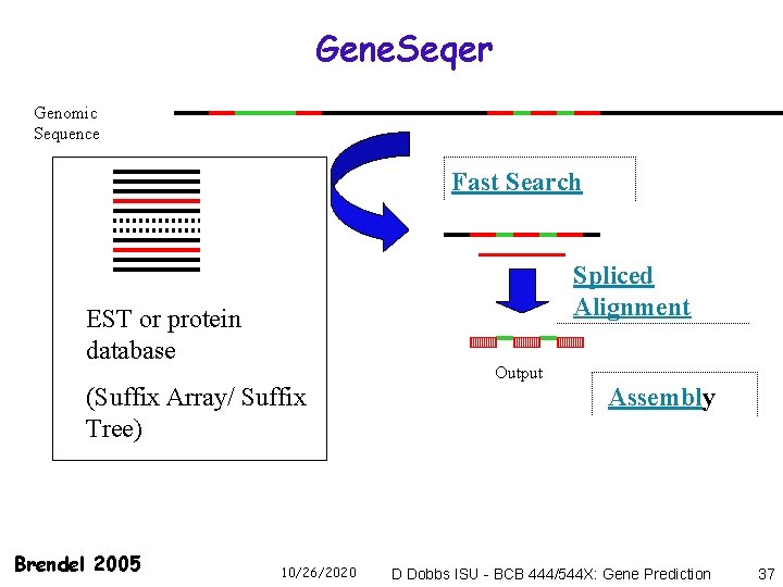 Gene. Seqer Genomic Sequence Fast Search Spliced Alignment EST or protein database Output (Suffix