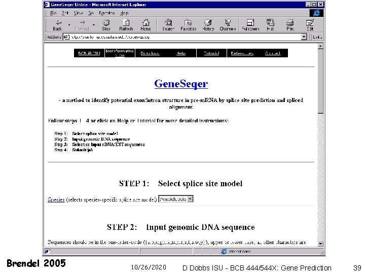 Brendel 2005 10/26/2020 D Dobbs ISU - BCB 444/544 X: Gene Prediction 39 