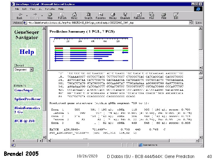 Brendel 2005 10/26/2020 D Dobbs ISU - BCB 444/544 X: Gene Prediction 40 