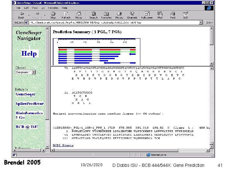 Brendel 2005 10/26/2020 D Dobbs ISU - BCB 444/544 X: Gene Prediction 41 