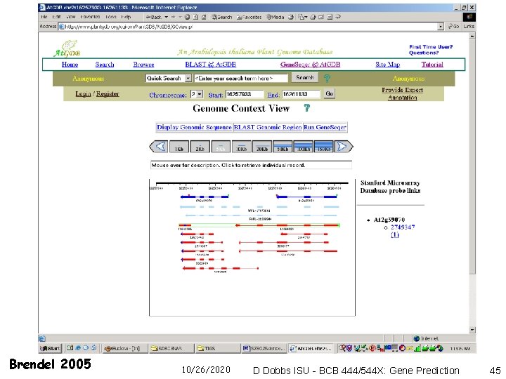 Brendel 2005 10/26/2020 D Dobbs ISU - BCB 444/544 X: Gene Prediction 45 