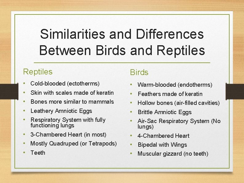 Similarities and Differences Between Birds and Reptiles Birds • • • Cold-blooded (ectotherms) Skin