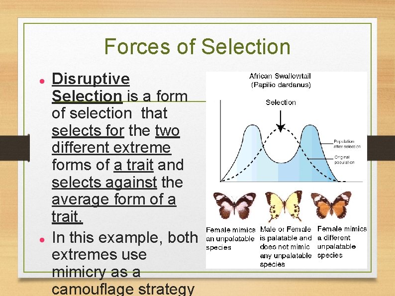 Forces of Selection Disruptive Selection is a form of selection that selects for the