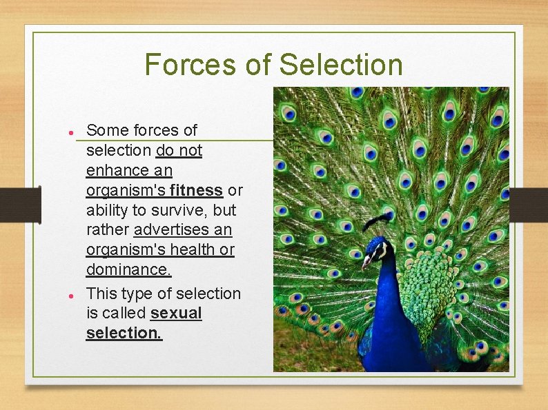 Forces of Selection Some forces of selection do not enhance an organism's fitness or