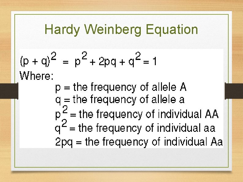 Hardy Weinberg Equation 